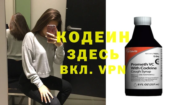 соль ск Кодинск