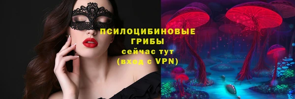 соль ск Кодинск